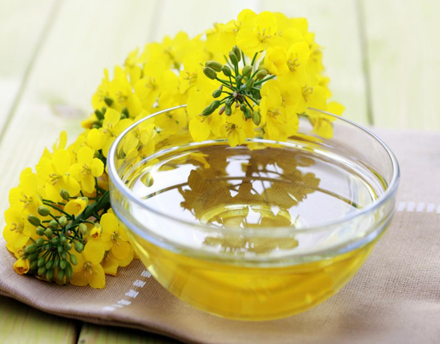 Canola-Oil